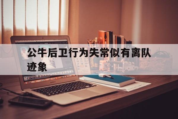 关于公牛后卫行为失常似有离队迹象的信息